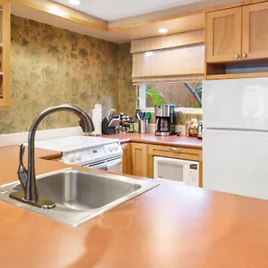 https://lotus-suite-in-a-boutique-resort-1bedroom-sleeps-4.hotelsinhawaii.org